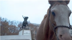 Ross Birrell, Criollo (Ahi  Veremos  Resero,  Argentine  Criollo,  General  José  de  San  Martín  Memorial,  Triangle  Park,  Washington  D.C.)