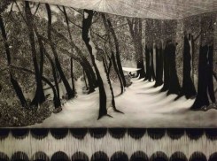 Sigrid van Woudenberg, Other people's lives