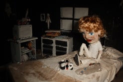 León & Cociña, La Casa Lobo