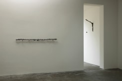 Hieke Luik, Growing line