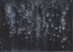 Ed Pien, Luminous Bodies II