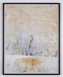 Anya Gallaccio, Untitled