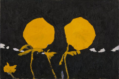 Glenn Sorensen, Sunset