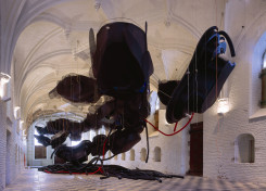 Karin van Dam, Floating Collapsible City System and Raising Coils