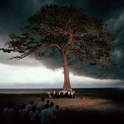 Hannes Wallrafen, De Boom