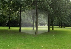 Elspeth Diederix, Kubus mist