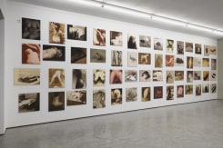 Paul Kooiker, Nude Animal Cigar, installation view, tegenboschvanvreden
