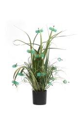 D.D. Trans, Permanent