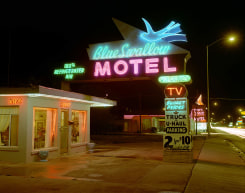 Steve Fitch, Blue Swallow Hotel