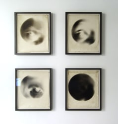 François Dey, Anableps anableps