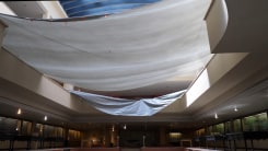 Helen Dowling, The Queen of Lemons