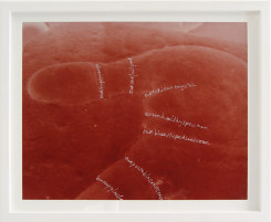 Ansuya Blom, Double-lensed I