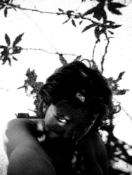 Hester Scheurwater, Eye