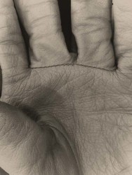 Paul Kooiker, From the series 'Eggs and Rarities'