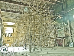 Doug & Mike Starn, big bambú