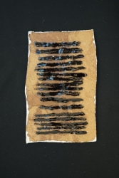 Raul Marroquin, Note