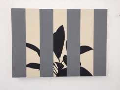 Otto Berchem, Anubias Gilletii (Gray)