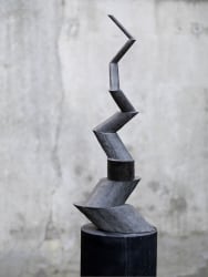 Sjoerd Buisman, Phyllotaxis zigzag