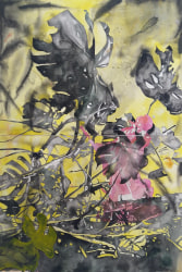 Wouter van de Koot, Boogie