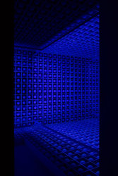 Levi van Veluw, The Relativity of Matter