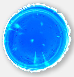 Wolfgang Ganter, Untitled (Co+Bromo3)