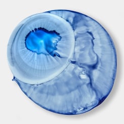 Wolfgang Ganter, Untitled (Blue Eyeball)