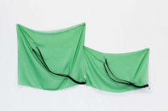 Sue Tompkins, Through a deep greennes