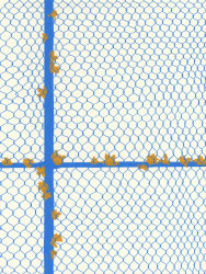 Yim Ja-hyuk, Safe Arrival