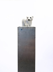 Gert Scheerlinck, Behold