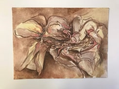 Miguel-Ángel Cárdenas, no title #5