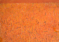 Theo Kuijpers, outback near Bourke