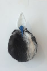 Regula Maria Müller, 'Rijksappel I - II'