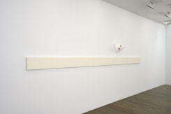 Alice Schorbach, Untitled