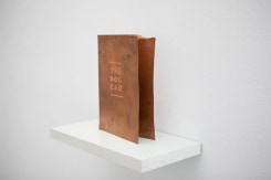 Gert Scheerlinck, Dog Ear (The)