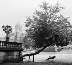 Pentti Sammallahti, Helsinki Finland