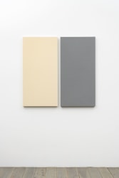 Alan Charlton, Painted / Unpainted