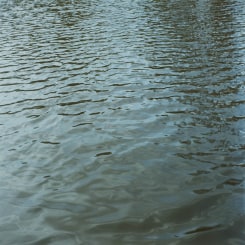Jan Dibbets, Water 8