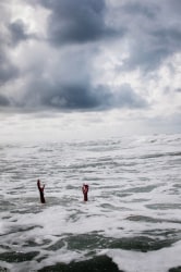 David van Dartel, Loes in de Noordzee/ Loes in the North Sea
