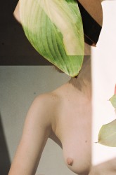 Annelie Bruijn, Slowly