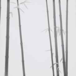 Choi Byung-Kwan, Bamboo Grey #6