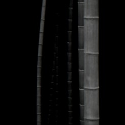 Choi Byung-Kwan, Bamboo Square #6