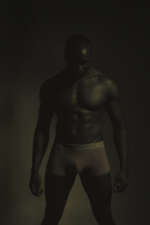 Matthew Murray, P-Jay, Stallion