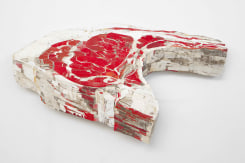 Ron van der Ende, Lamb chop