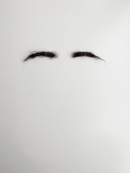 Gert Scheerlinck, Eyebrows