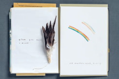 Nicoline Timmer, ‘première mise en scène des motifs ... '