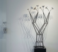 Warffemius, trechterbeeld