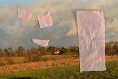 Antoni + Alison, House No 2, from 'The Landscape Series'