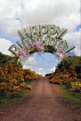 Antoni + Alison, Happy Valley No. 1, from 'The Landscape Series'