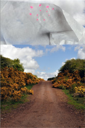 Antoni + Alison, Happy Valley No. 2, from 'The Landscape Series'