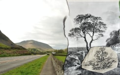 Antoni + Alison, Scenes No. 2, from 'The Landscape Series'